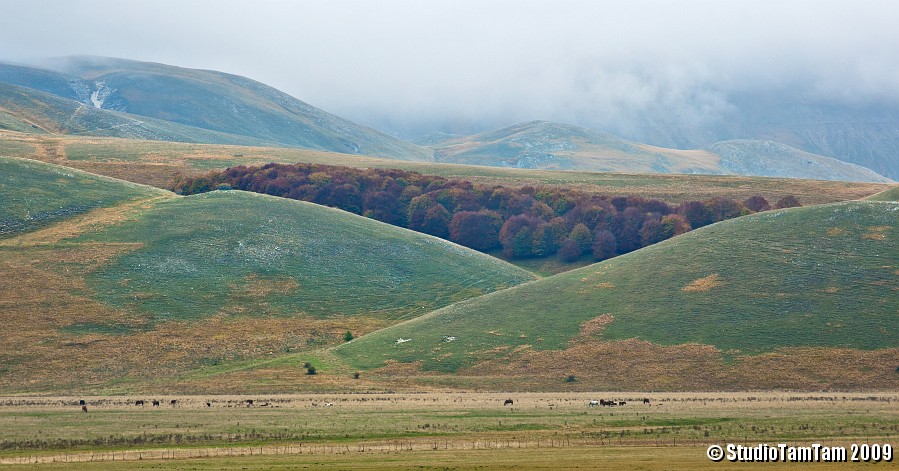 Ai piedi di Castelluccio.jpg